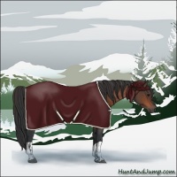 Horse Color:Bay Rabicano  and Bay 