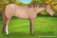 Horse Color:Brown Pearl 