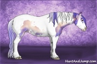 Horse Color:Watercolor Plaid Red Onyx Splash Tobiano