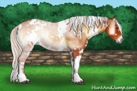 Horse Color:White Spotted Silver Bay Onyx