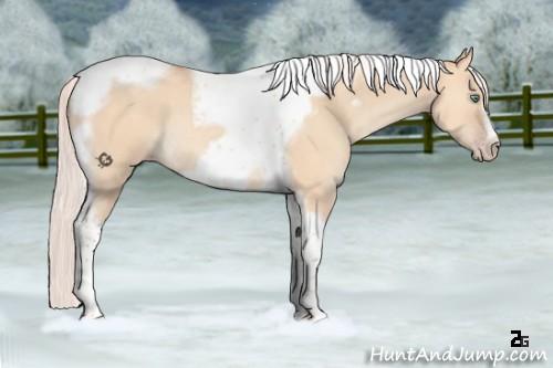 Horse Color:Silver Amber Champagne Dun Tobiano Frame Rabicano 