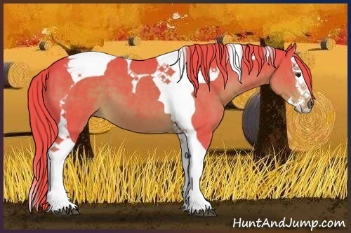 Horse Color:Watercolor Liver Chestnut Splash Tobiano