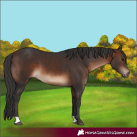 Horse Color:Brown 