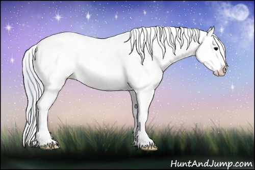 Horse Color:Watercolor White Spotted Silver Brown Onyx Sabino Appaloosa Rabicano