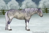 Horse Color:Watercolor Silver Bay Chinchilla Ice Tobiano