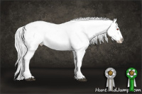 Horse Color:White Spotted Chocolate Silver Black Chinchilla Appaloosa