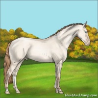 Horse Color:Gold Champagne Pearl Dun Sabino 