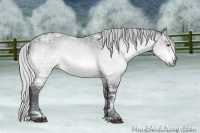 Horse Color:Silver Bay Chinchilla Ice 