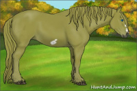 Horse Color:Gray Watercolor Chestnut Frame