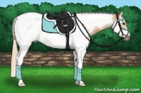 Horse Color:Chestnut Splash Tobiano Frame 