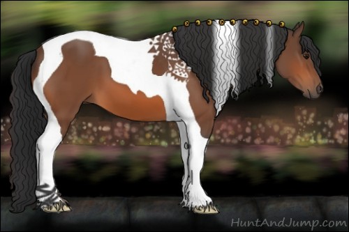 Horse Color:Bay Tobiano 