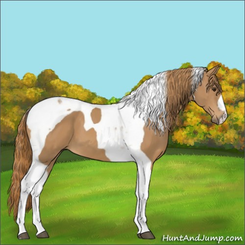 Horse Color:Chestnut Tobiano 