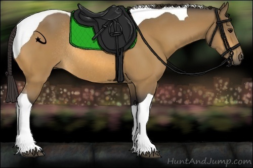 Horse Color:Buckskin Tobiano Rabicano 