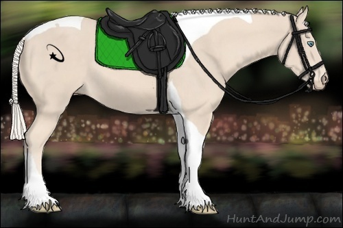 Horse Color:Cremello Tobiano 