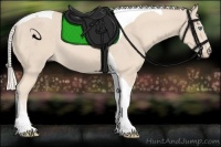 Horse Color:Cremello Tobiano 