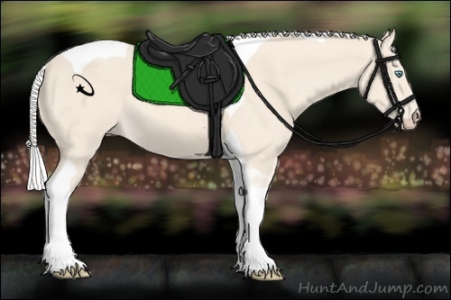 Horse Color:Silver Perlino Tobiano