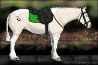 Horse Color:Silver Perlino Tobiano