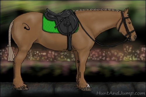 Horse Color:Chocolate Palomino 