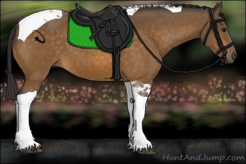 Horse Color:Buckskin Tobiano