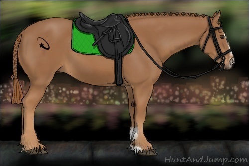Horse Color:Chestnut Sabino