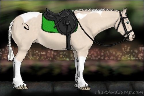 Horse Color:Cremello Tobiano 