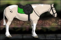 Horse Color:Cremello Tobiano 