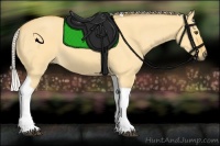 Horse Color:Silver Buckskin Dun Tobiano 