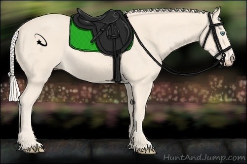 Horse Color:Cremello Rabicano 