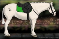 Horse Color:Cremello Rabicano 