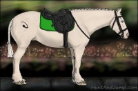Horse Color:Cremello 
