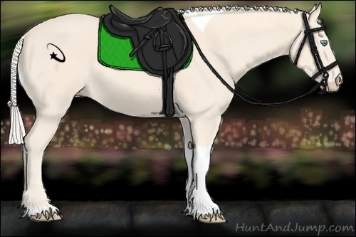 Horse Color:Cremello Tobiano 