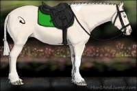 Horse Color:Cremello Tobiano 