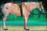 Horse Color:Palomino Ice Tobiano