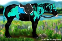 Horse Color:Palomino Ice Splash Tobiano Rabicano 