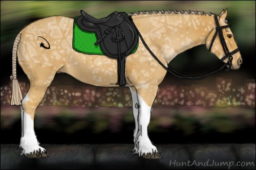 Horse Color:Palomino Ice Tobiano Rabicano 