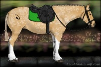 Horse Color:Palomino Ice Tobiano Rabicano 