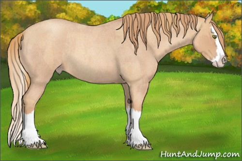 Horse Color:Gold Champagne Roan Splash  and Gold Champagne Roan Splash 