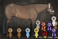 Horse Color:Brown Dun 
