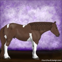 Horse Color:Liver Chestnut Tobiano 