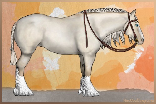 Horse Color:Chocolate Palomino Roan Pearl Dun Sabino 