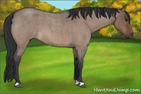 Horse Color:Brown Roan Dun 