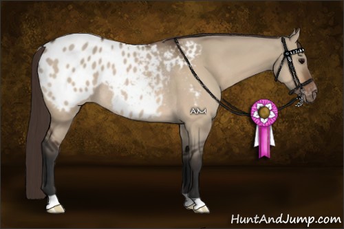 Horse Color:Bay Dun Appaloosa Rabicano 