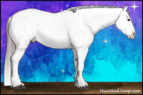 Horse Color:White Spotted Black Splash Tobiano Frame Varnish