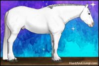 Horse Color:White Spotted Black Splash Tobiano Frame Varnish 