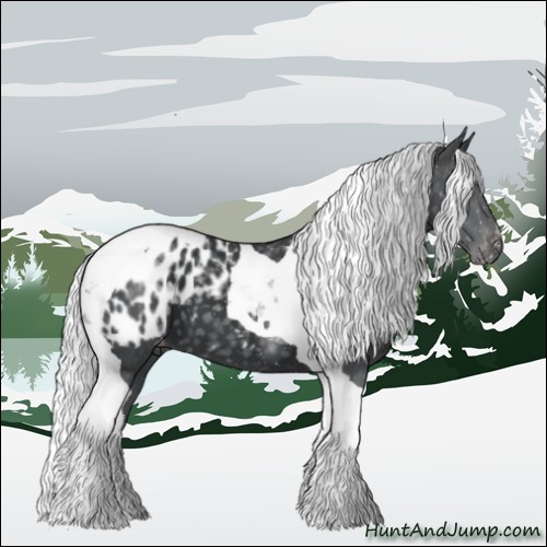 Horse Color:Silver Black Chinchilla Tobiano Appaloosa 
