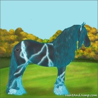 Horse Color:Thunderstruck Black 