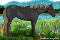 Horse Color:Liver Chestnut Rabicano 