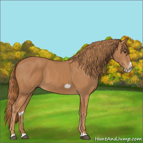 Horse Color:Chestnut Splash Frame 