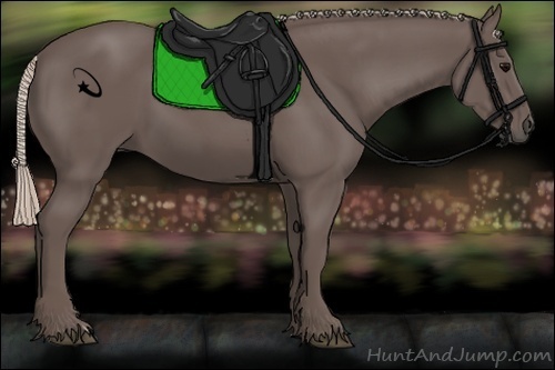 Horse Color:Silver Black 