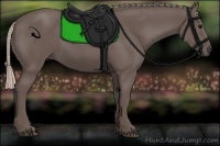 Horse Color:Silver Black 